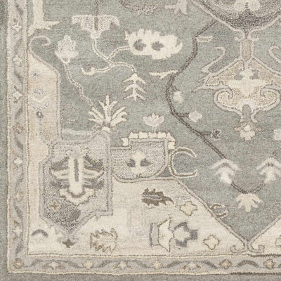 Sample Broomfield Hand Tufted Taupe 1196 Area Rug