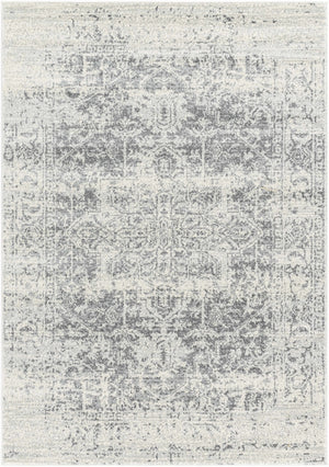 Harput Area Rug