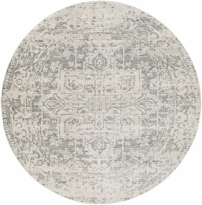 Harput Area Rug