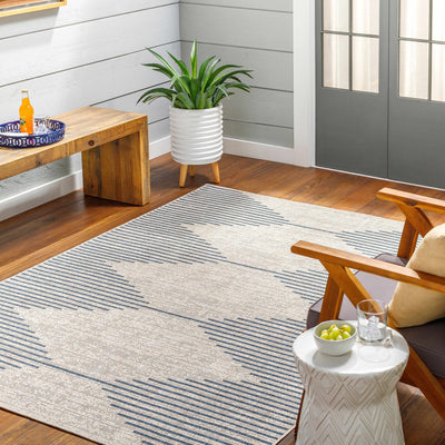 Sample Hedva Area Rug