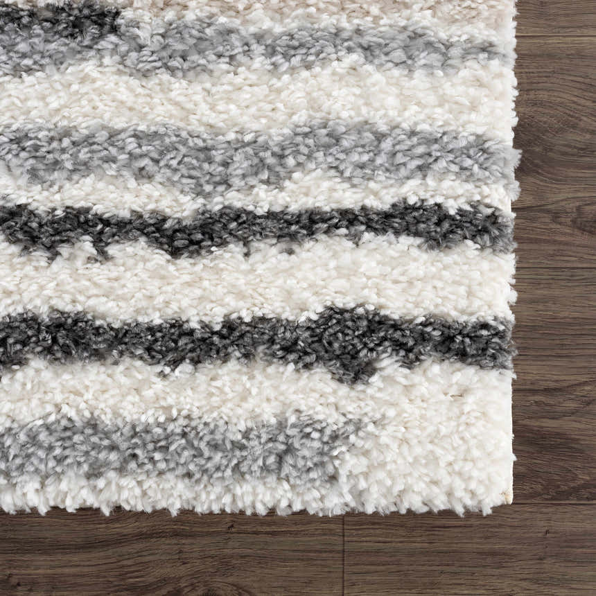 Sample Zoya Irregular Striped Area Rug