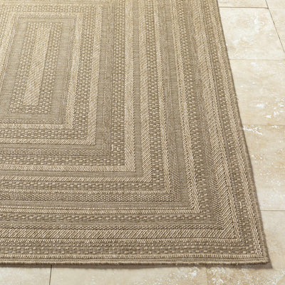 Avalos Brown Area Rug