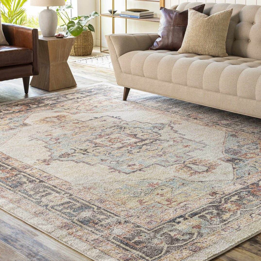 Hillcrest Traditional Area Rug – Boutique Rugs