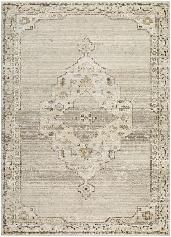 Close-up of the Havard Light Gray Area Rug featuring a traditional center medallion and border pattern. Design-Rectangle-679