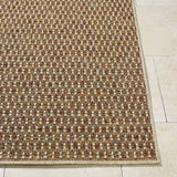 Ataret Burnt Sienna Area Rug