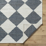 Andrin Gray Area Rug