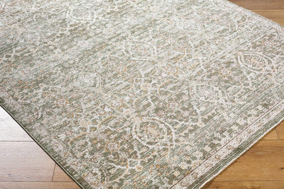 Amiyah Area Rug