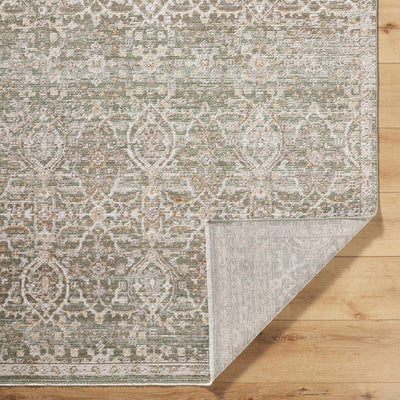 Amiyah Area Rug