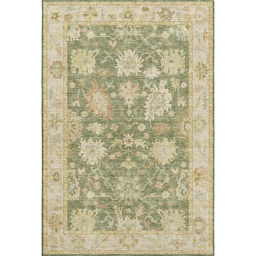 Dalyn Luxury Hatay HY2 Aloe Washable Area Rug. Traditional floral design in aloe, beige, caramel, muted sage, and peach.