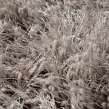 Close-up of the plush, shaggy texture of the Dalyn Impact IA100 Mushroom Area Rug.