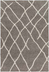 Sample Ildri Area Rug - Clearance