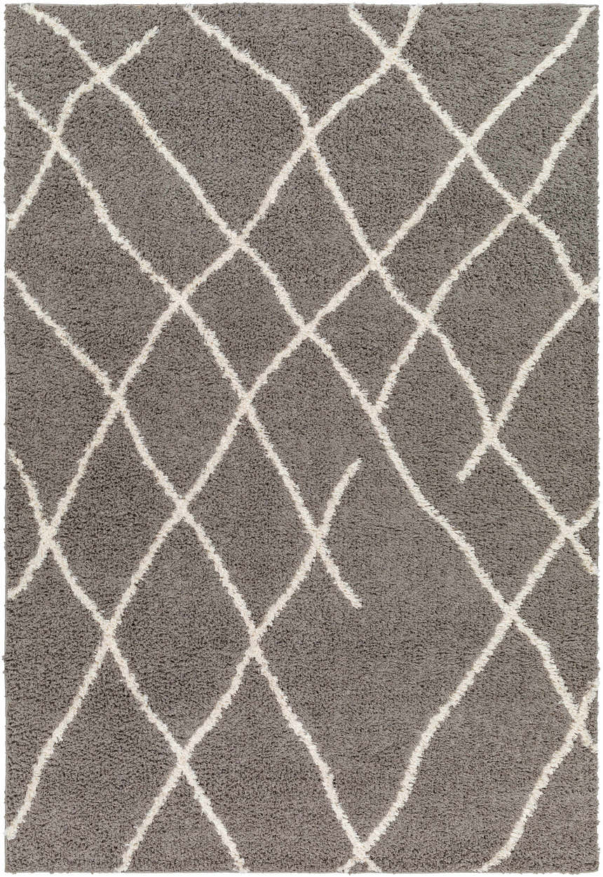 Sample Ildri Area Rug - Clearance