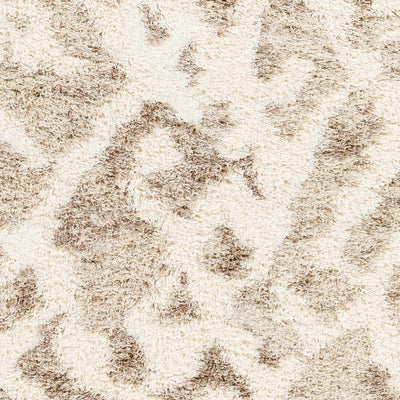 Sample Jase Shag Area Rug