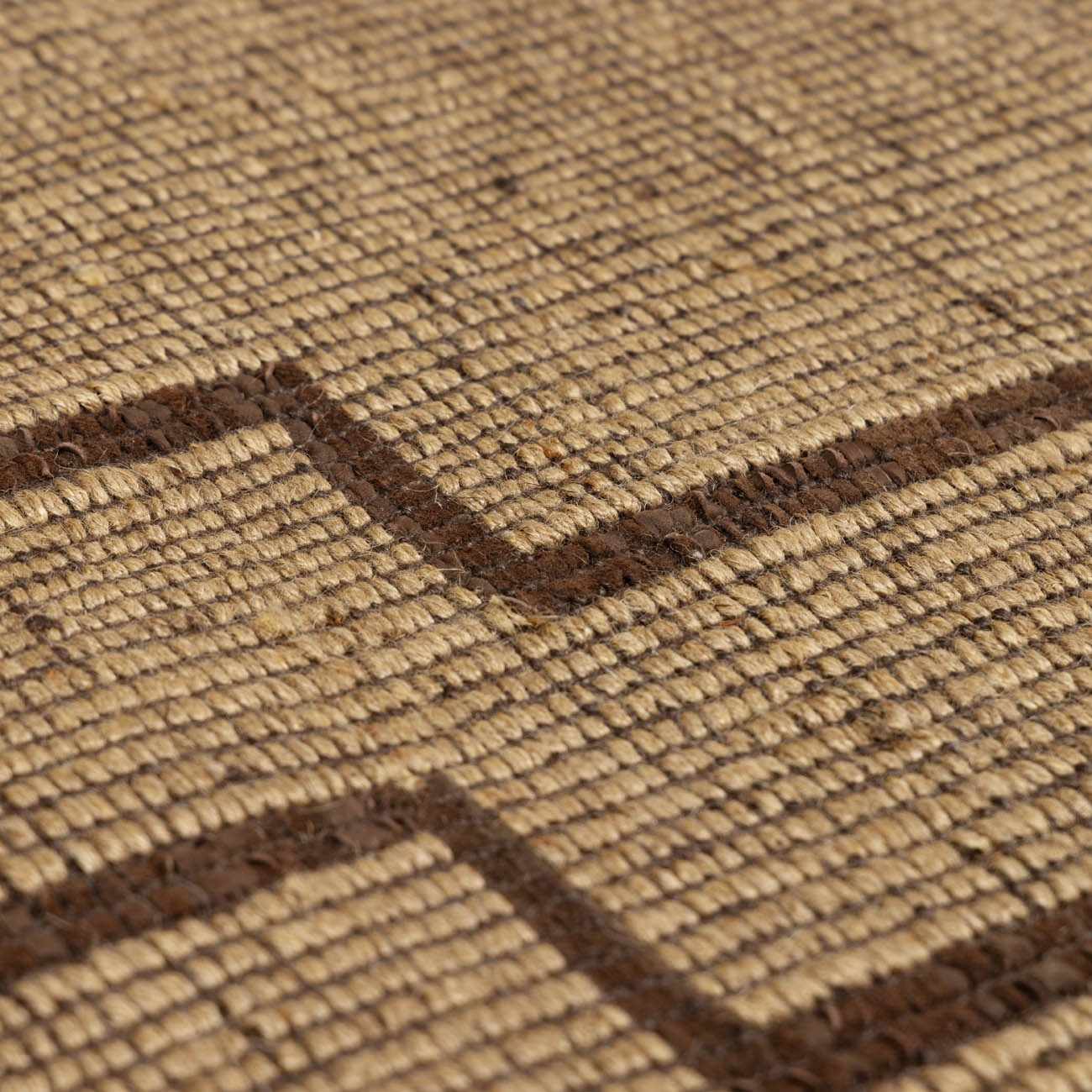 Jame Hand Woven Jute & Leather Area Rug