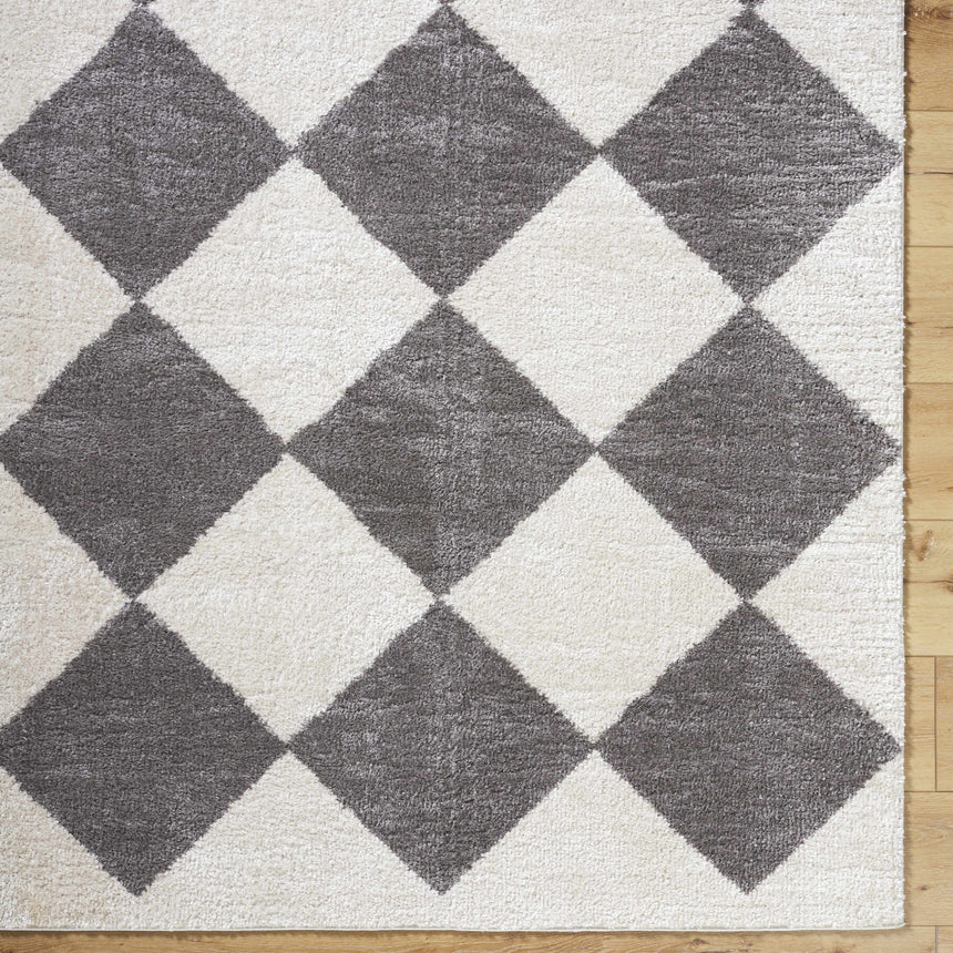 Arilla Diamond Checkered Washable Area Rug