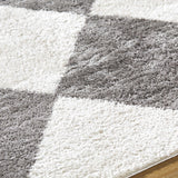 Arilla Diamond Checkered Washable Area Rug