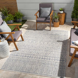 Novato Gray All Over Pattern Performance Rug