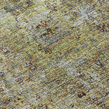 Close-up of Dalyn Karaj KJ1 Aloe Washable Area Rug. Features aloe, chestnut, gold, and muted sage colors. Traditional style.
