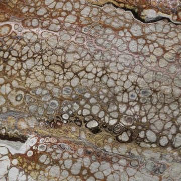 Close up of Dalyn Machine Kikiamo KK15 Canyon Washable Area Rug. Abstract pattern in black, brown, canyon, and ivory.