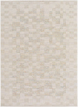 Arshad Ivory Area Rug