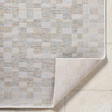 Arshad Ivory Area Rug