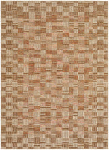 Arshad Burnt Sienna Area Rug