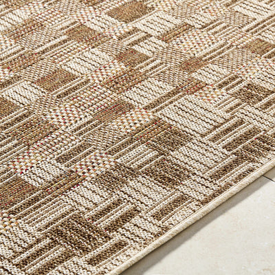 Arshad Area Rug