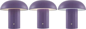 Kranenburg Purple Table Lamp