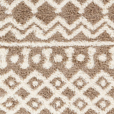 Sample Kato Shag Area Rug