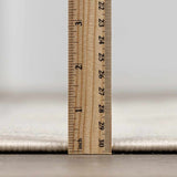 Lascassas Neutral Area Rug