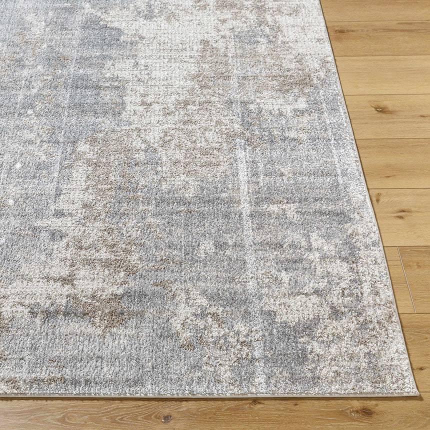 Audeia Area Rug