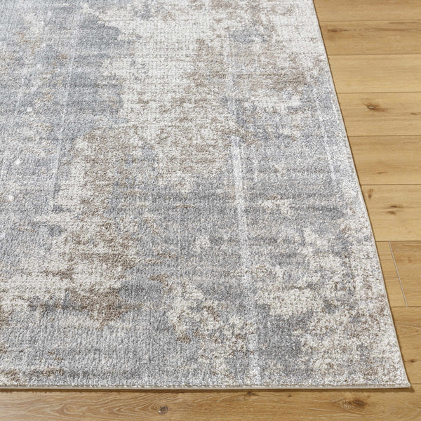 Audeia Area Rug