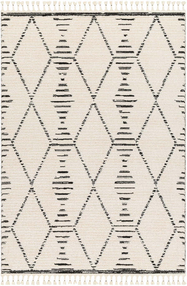 Sample Allan Area Rug - Clearance