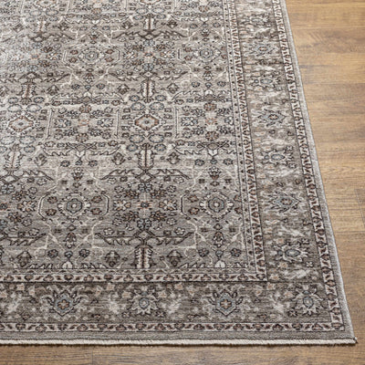 Lugo Area Rug