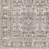 Close-up of the Lugo Luxe Area Rug showing the traditional oriental pattern, light gray, ivory, and pale blue colors. Swatch
