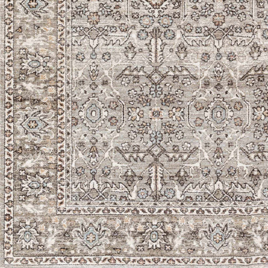 Close-up of the Lugo Luxe Area Rug showing the traditional oriental pattern, light gray, ivory, and pale blue colors. Swatch