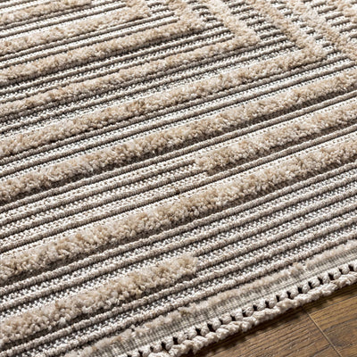 Lunao Elegant High/Low Area Rug