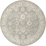 Alinae Area Rug