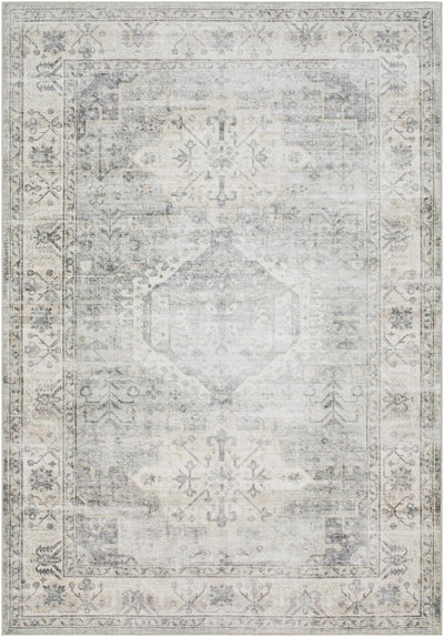 Sample Laran Sage Distressed Washable Area Rug