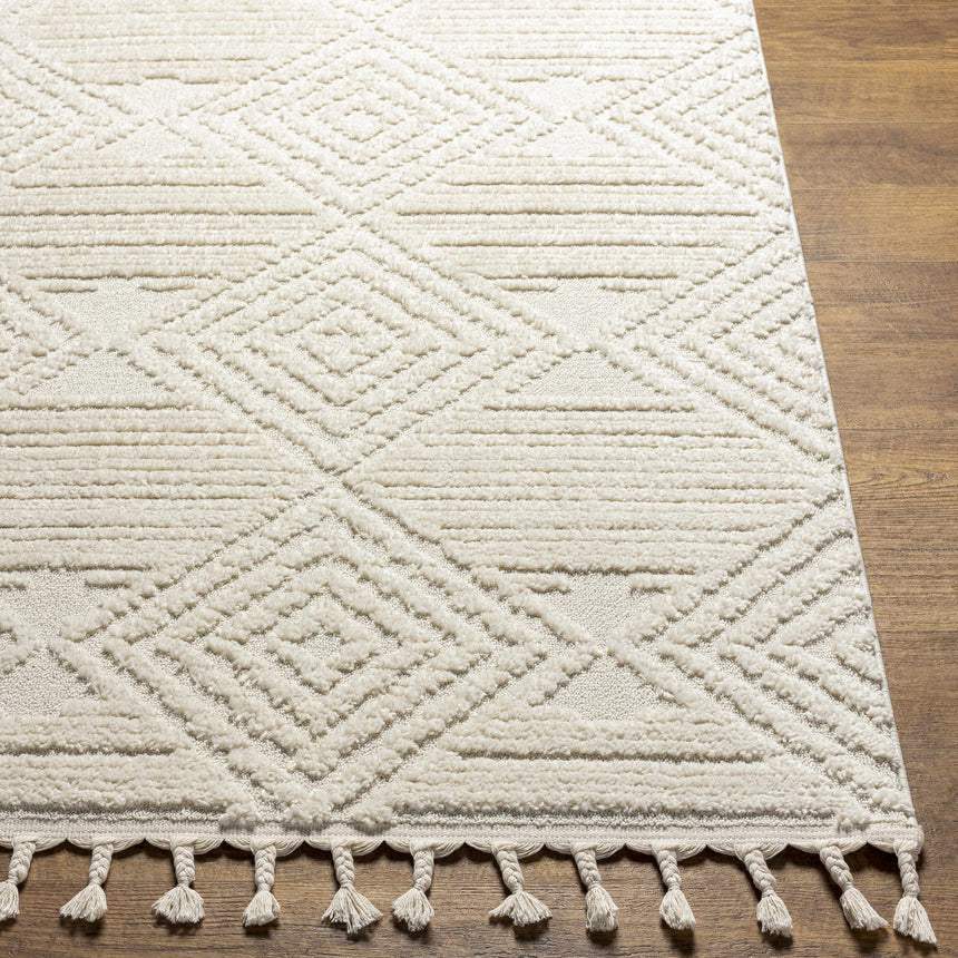 Manyas 3D Bone Area Rug with Tassels