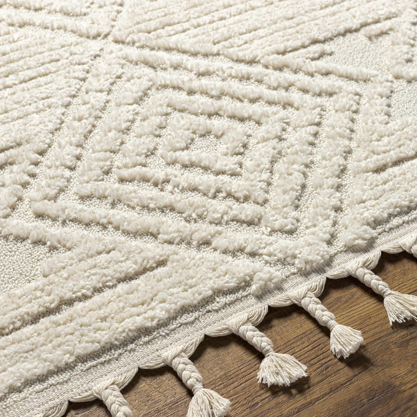Manyas 3D Bone Area Rug with Tassels