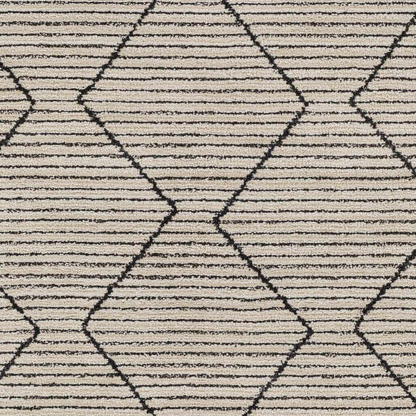 Sample Maonon Area Rug