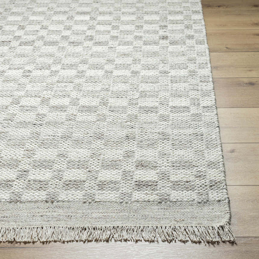 Sample Meira Medium Gray Area Rug - Clearance