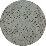 Made to Order Custom Size Sage Elsu Area Rug