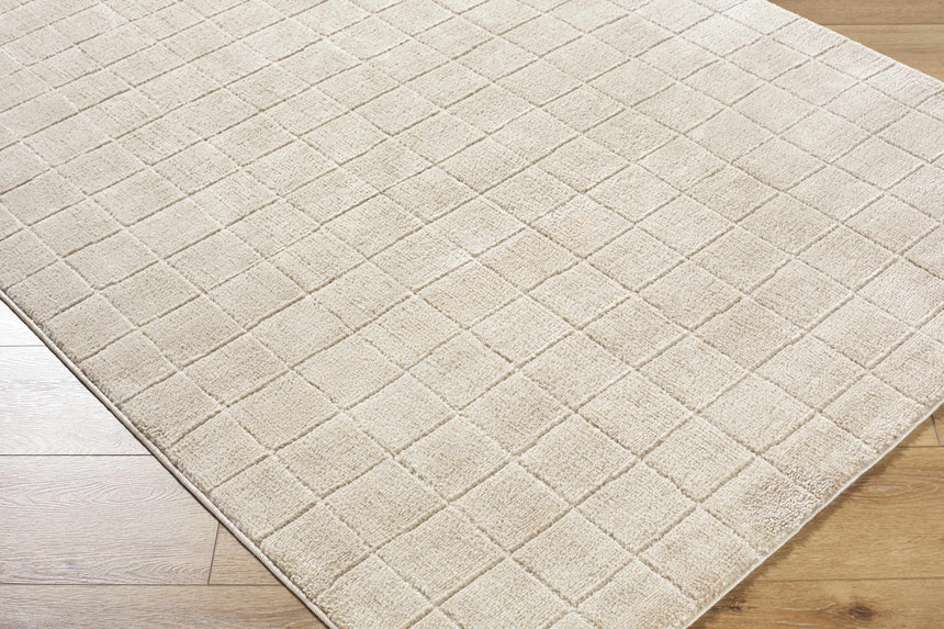 Cascade Checkered Beige Area Rug