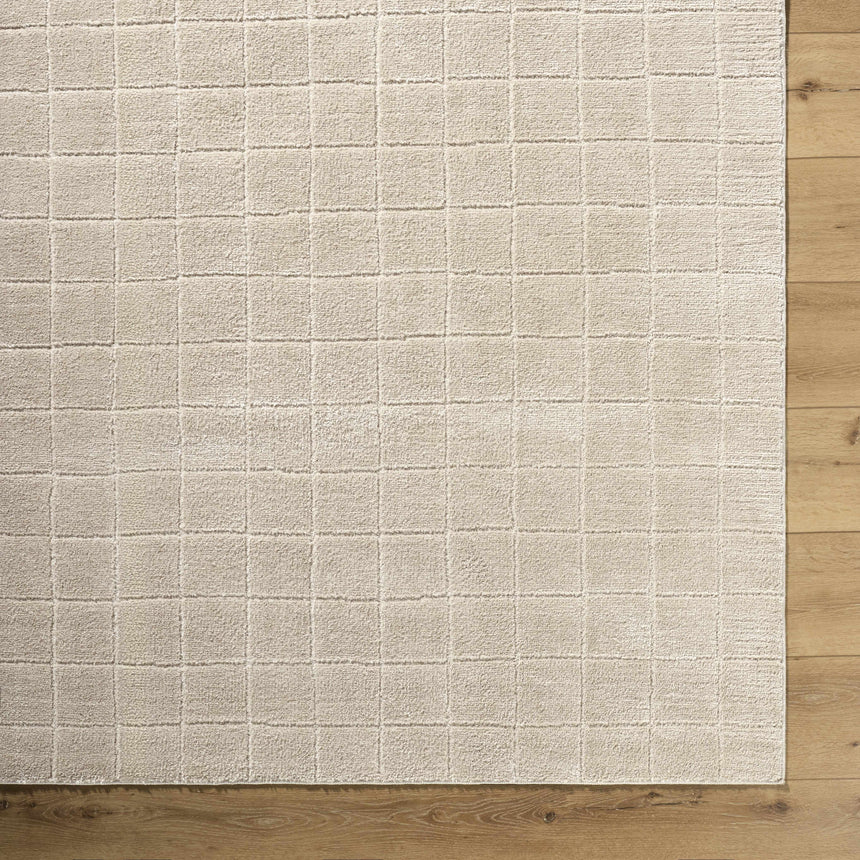 Cascade Checkered Beige Area Rug