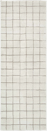 Cascade Checkered Ivory Area Rug