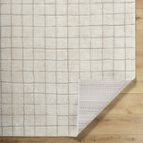 Cascade Checkered Ivory Area Rug