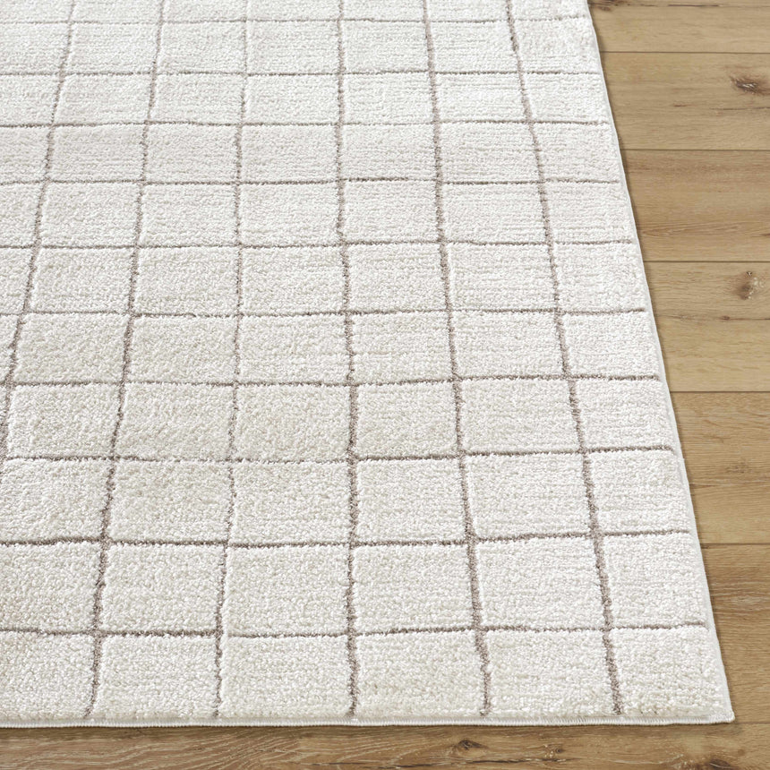 Cascade Checkered Ivory Area Rug
