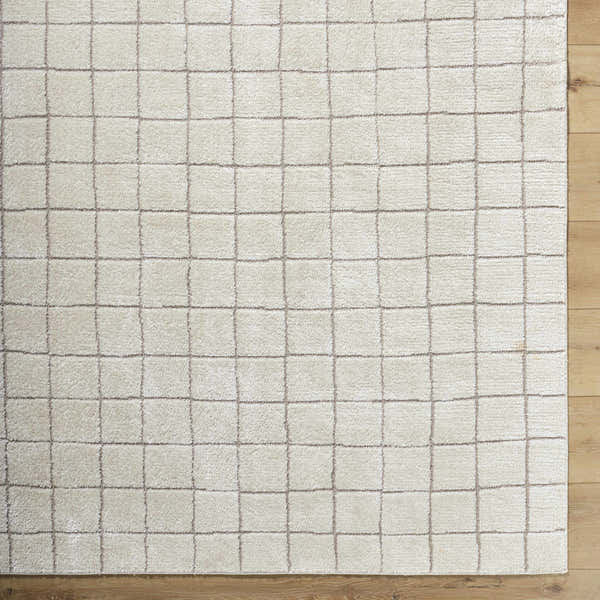 Sample Cascade Checkered Ivory Area Rug